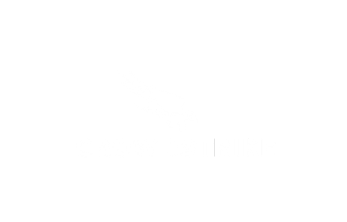 CROWDSTRIKE
